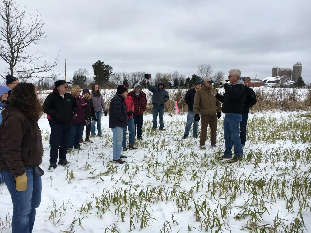 Viroqua, Wisc. & Galena, Ill. leaders join local farmers who tour cover crop fields near Stevens Point, Wisc.