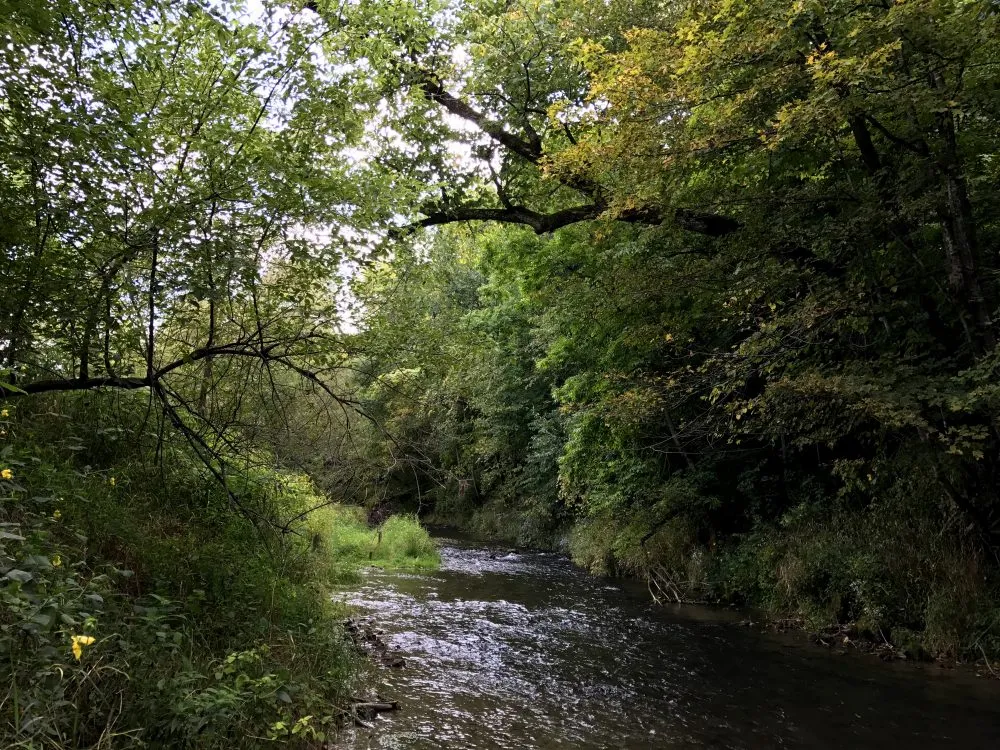 Underlying karst limestone drains water quickly from fields to streams in the Root River watershed.