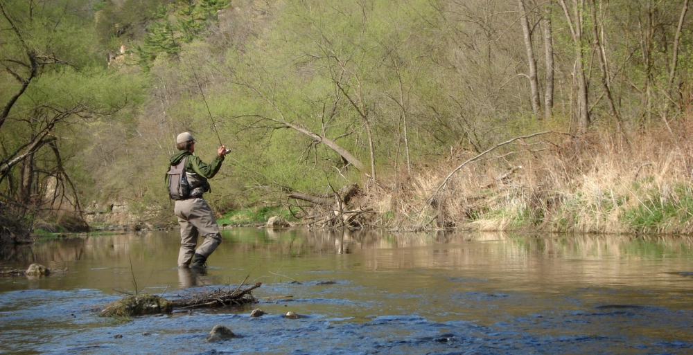 The Root River and tributaries are home to brook and brown trout, and are popular fishing spots.