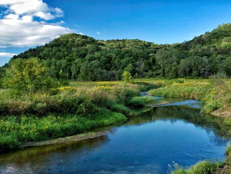 Aquatic habitat in the West Fork of the Kickapoo River is increasingly protected by native plant buffers.