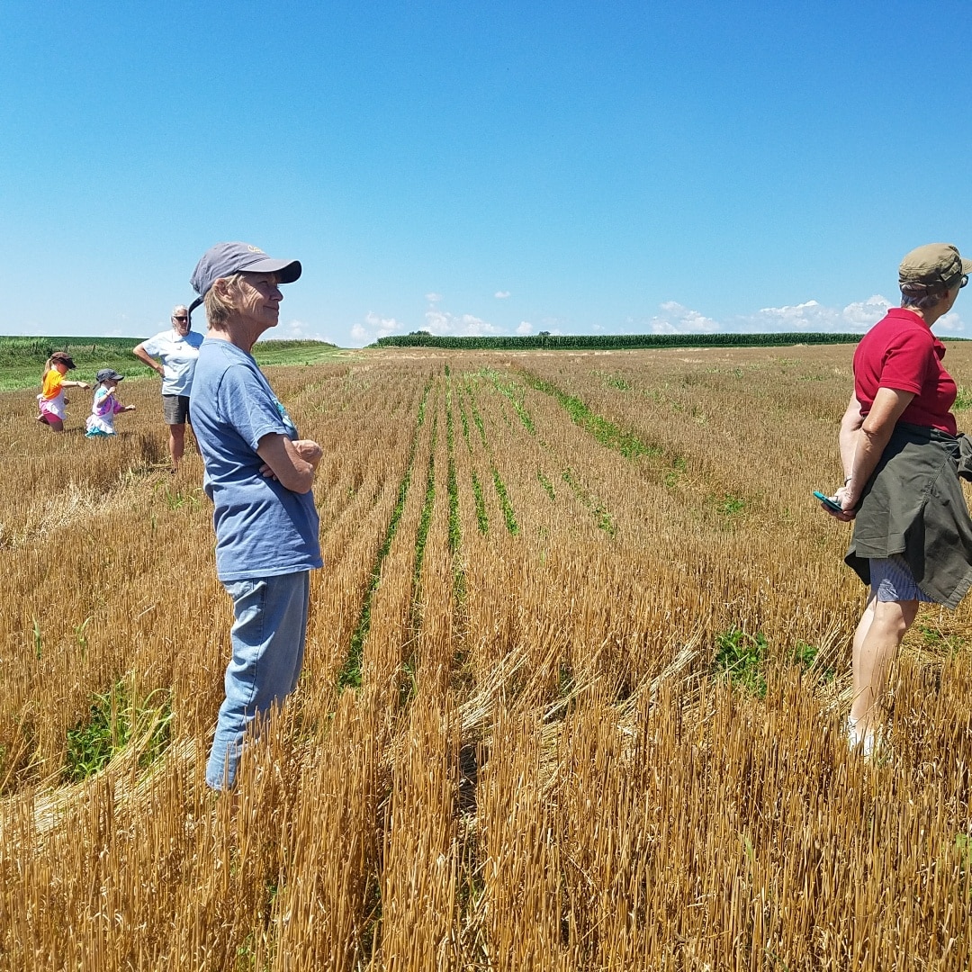 Dick Sloan's farm in Iowa's Lime Creek Watershed helped establish prairie STRIPS in ag fields as a practical way to reduce sedimentation and nutrient runoff in ag fields. The practice is gaining popularity across the Upper Mississippi River Basin.