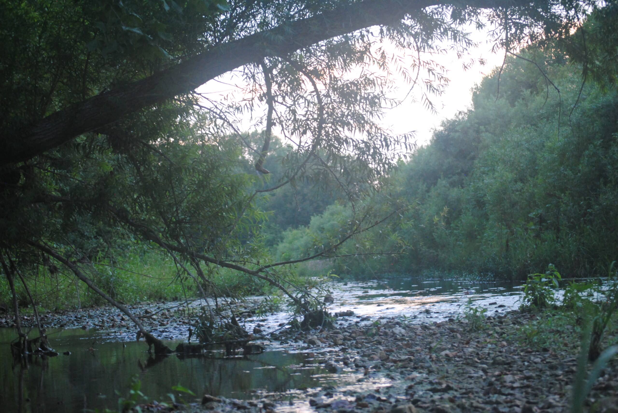 An impaired stream cannot support a five-pound bass. Soil retention in Peno Creek watershed sustains farms and life in this high quality stream. Photo: Amy Smith