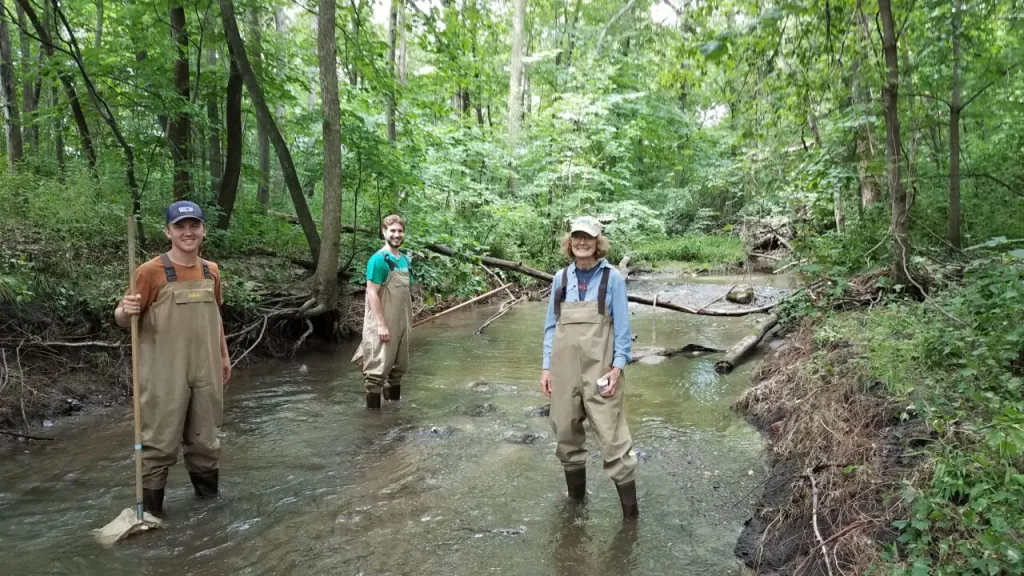 Rice Creek watershed