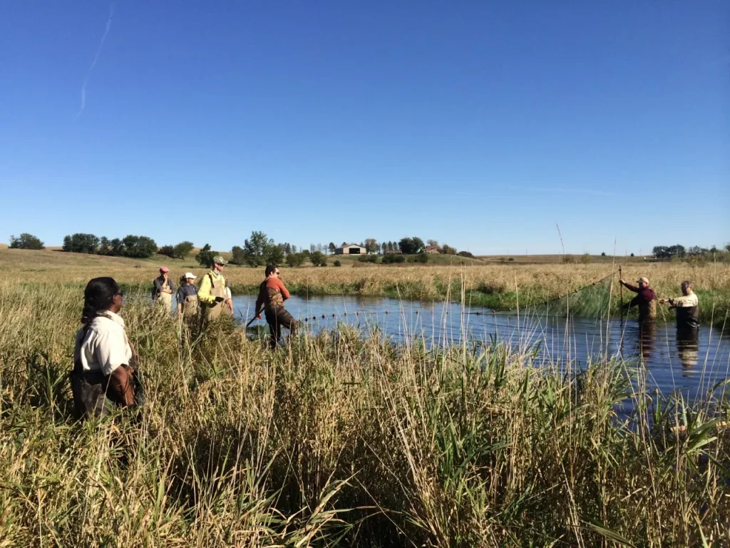 Topeka shiner survey on an Iowa oxbow