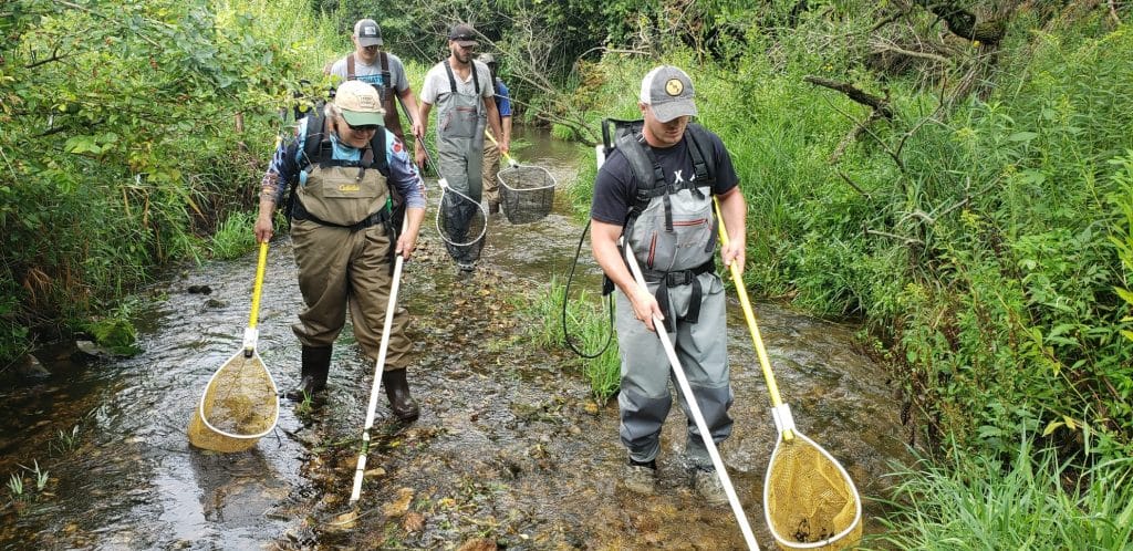 Stream monitoring