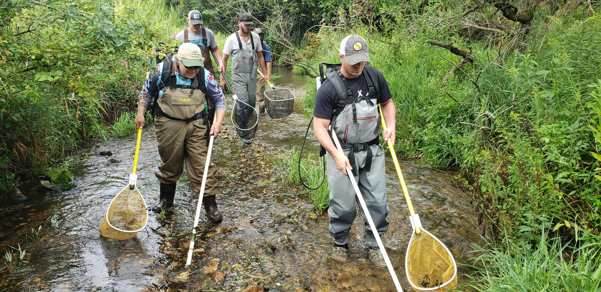 Silver Creek Water Quality Project Fishers & Farmers Partnership