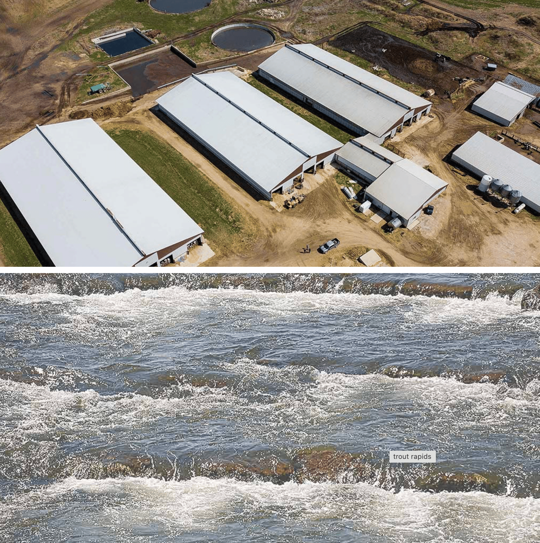 Addressing concerns over bacterial contamination in Silver Creek, farmers have adopted practices such as concrete manure storage pits and deep-pack bedded barns. An arched rock rapids mitigates a historic dam to allow trout to move upstream.