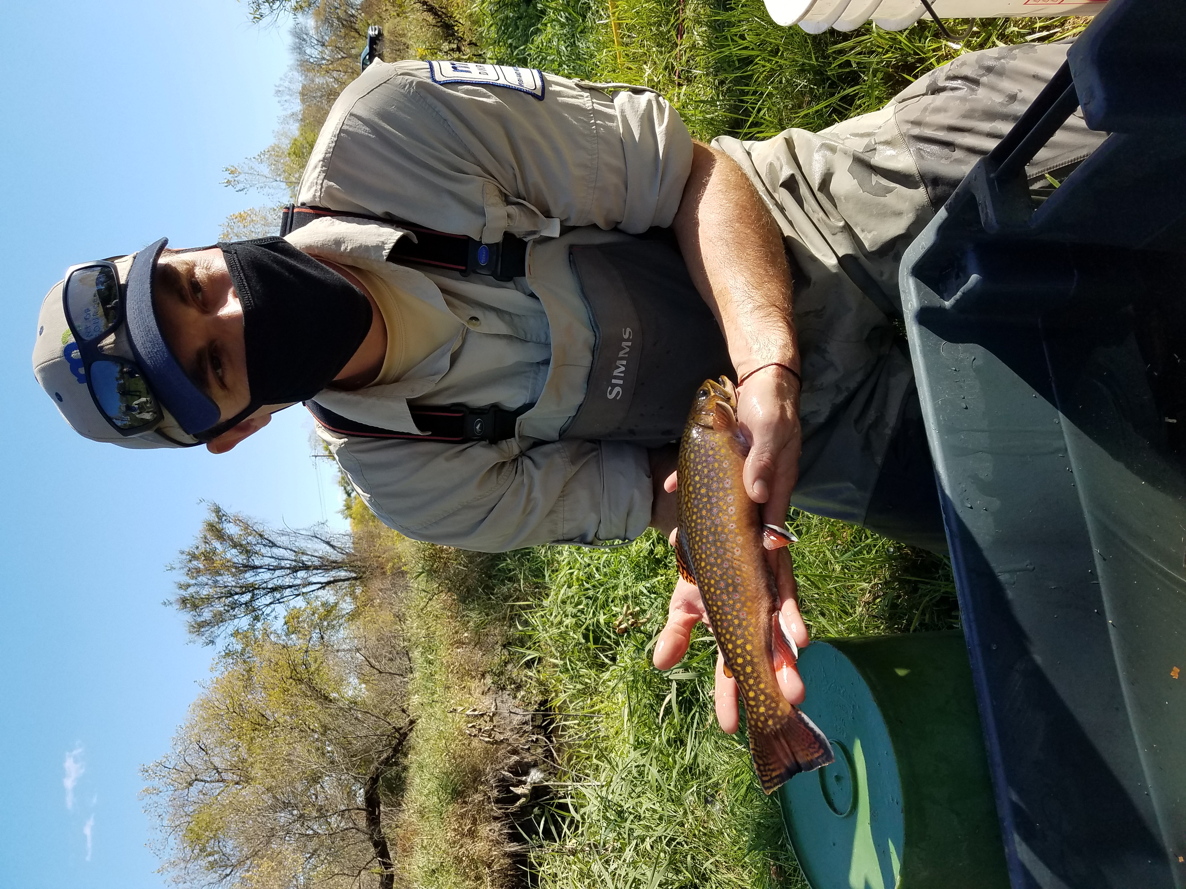 Tyler Fellows, Minnesota DNR Fisheries  (Waterville) shows brook trout from Rice Creek.