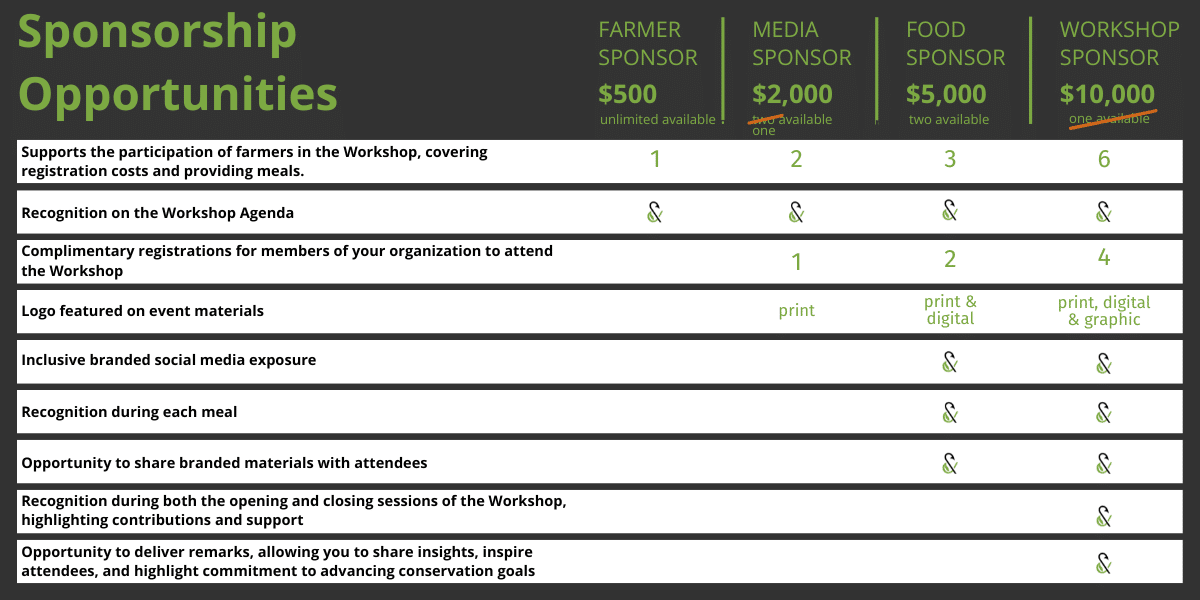 Website Graphics (5) Website Graphics (5)