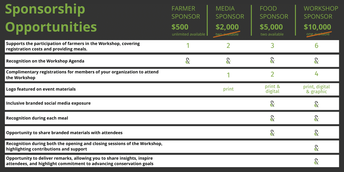 Website Graphics (6) Website Graphics (6)