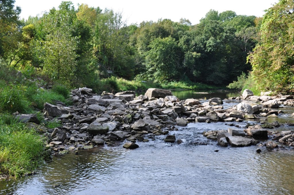 E Wrage dam_upstream 2013b